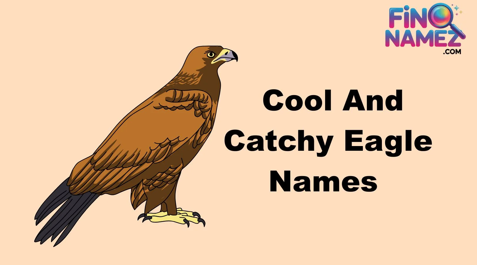 Cool And Catchy Eagle Names