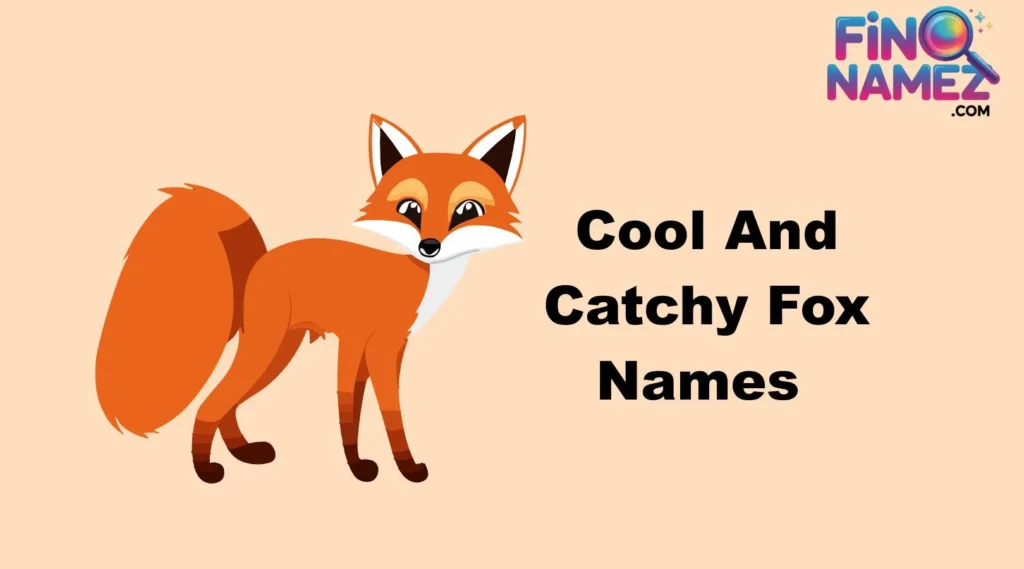 Cool And Catchy Fox Names