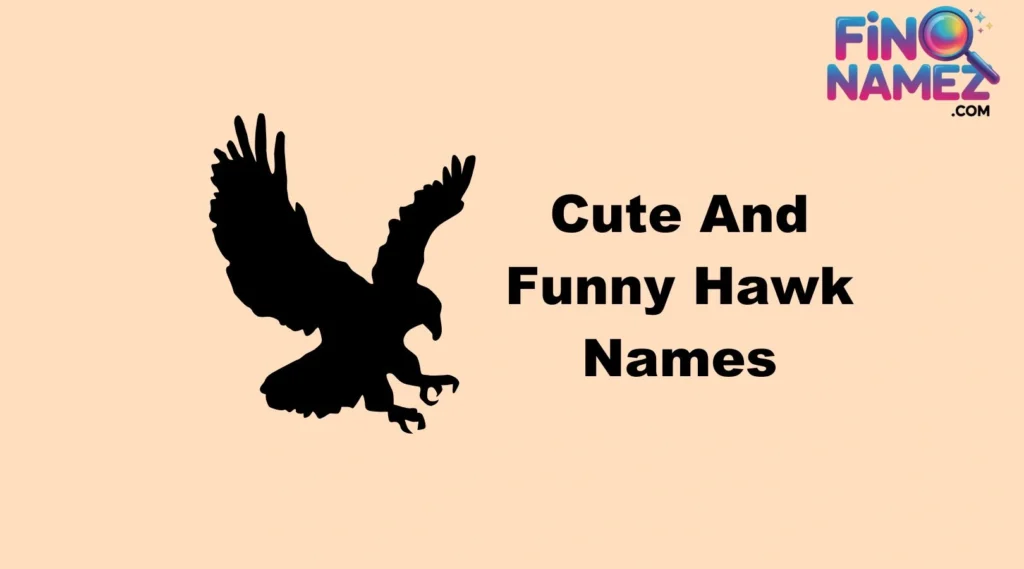 Cool And Catchy Hawk Names