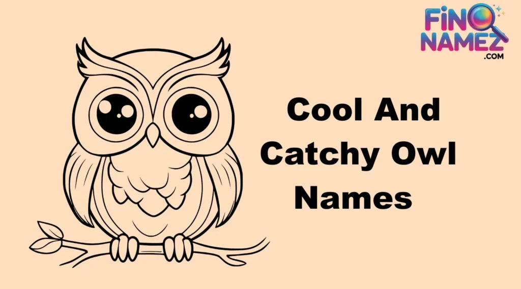Cool And Catchy Owl Names