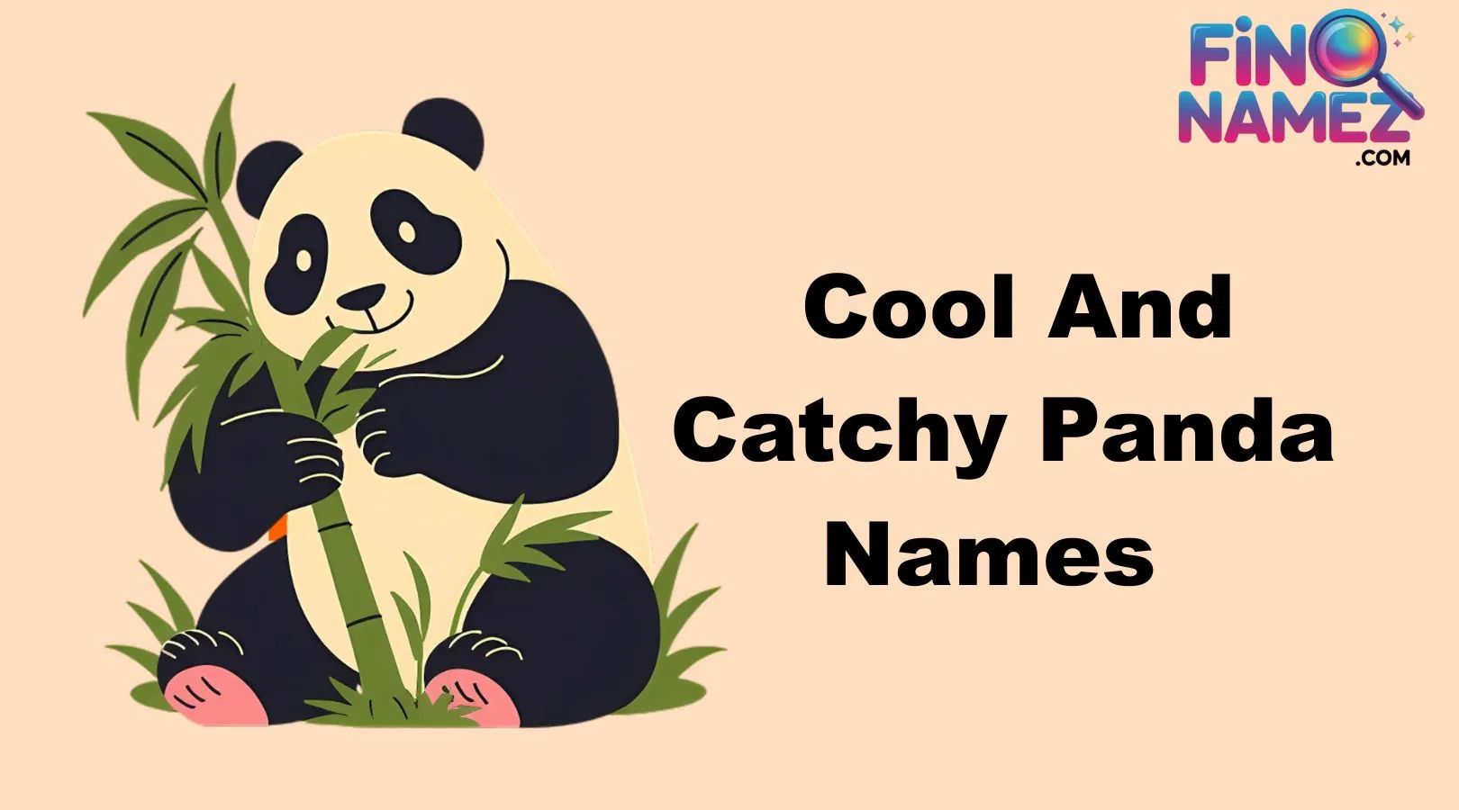 Cool And Catchy Panda Names
