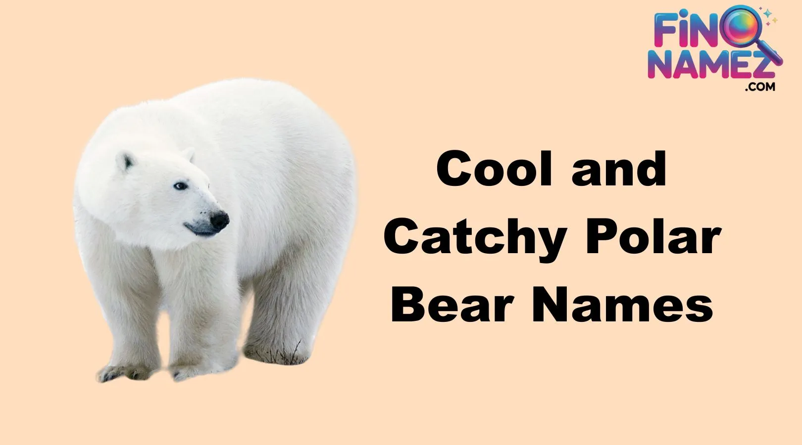 Cool And Catchy Polar Bear Names