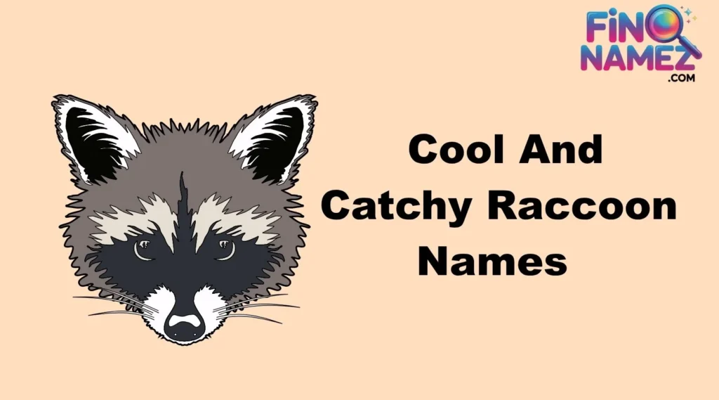 Cool And Catchy Raccoon Names