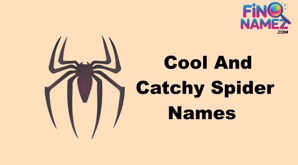 Cute and Catchy Spider Names