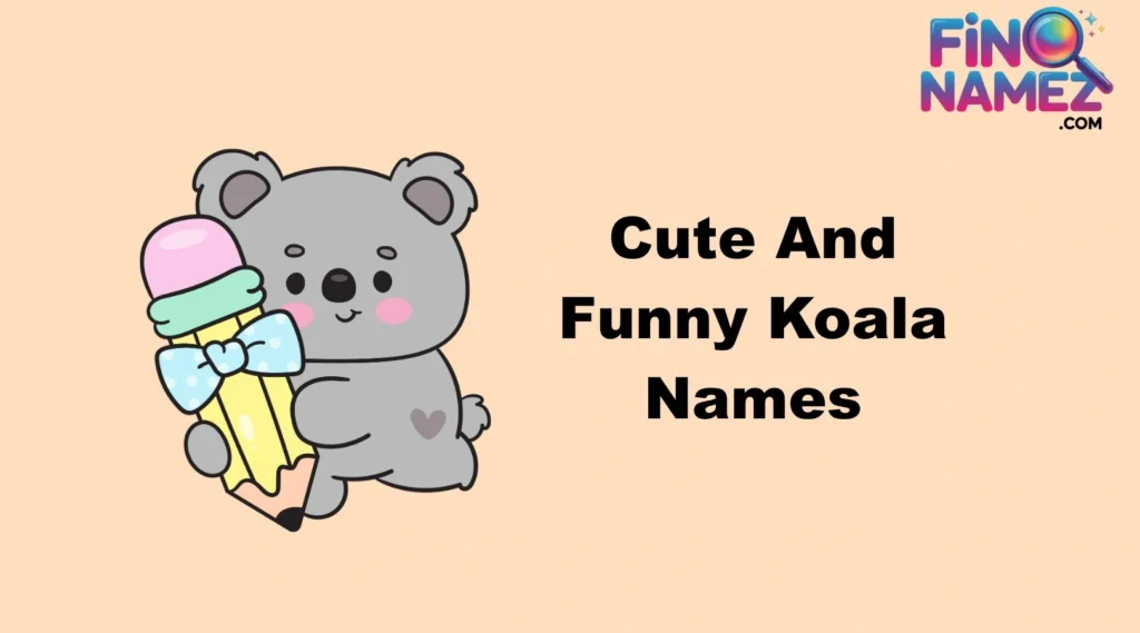 Cute And Catchy Koala Names