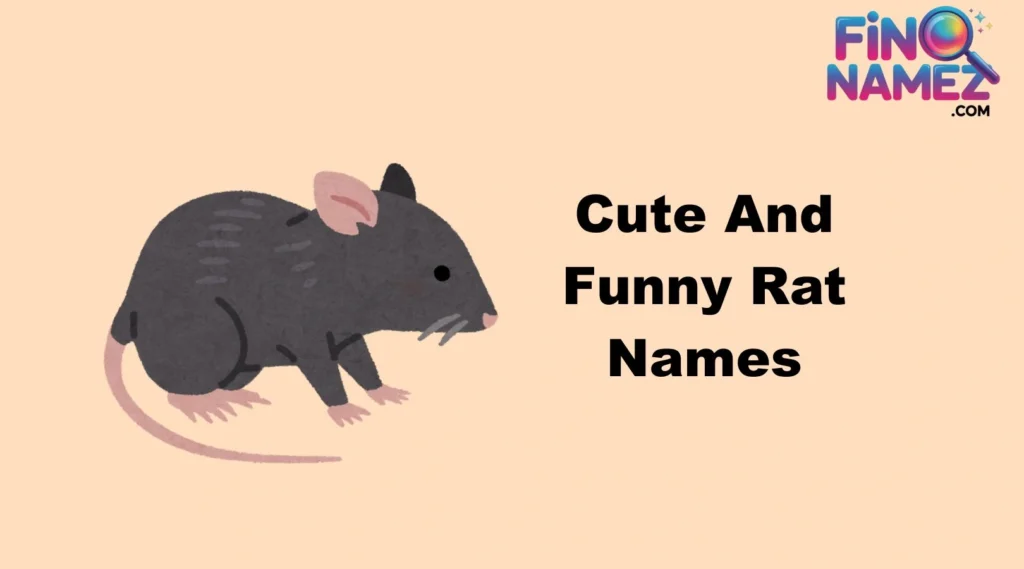 Cute And Catchy Rat Names With Name