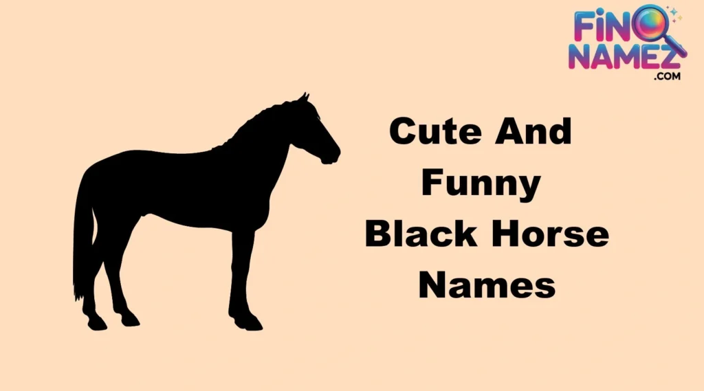 Cute And Funny Black Horse Names