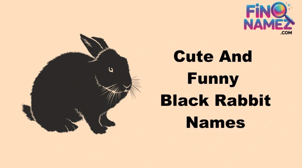Cute And Funny Black Rabbit Names