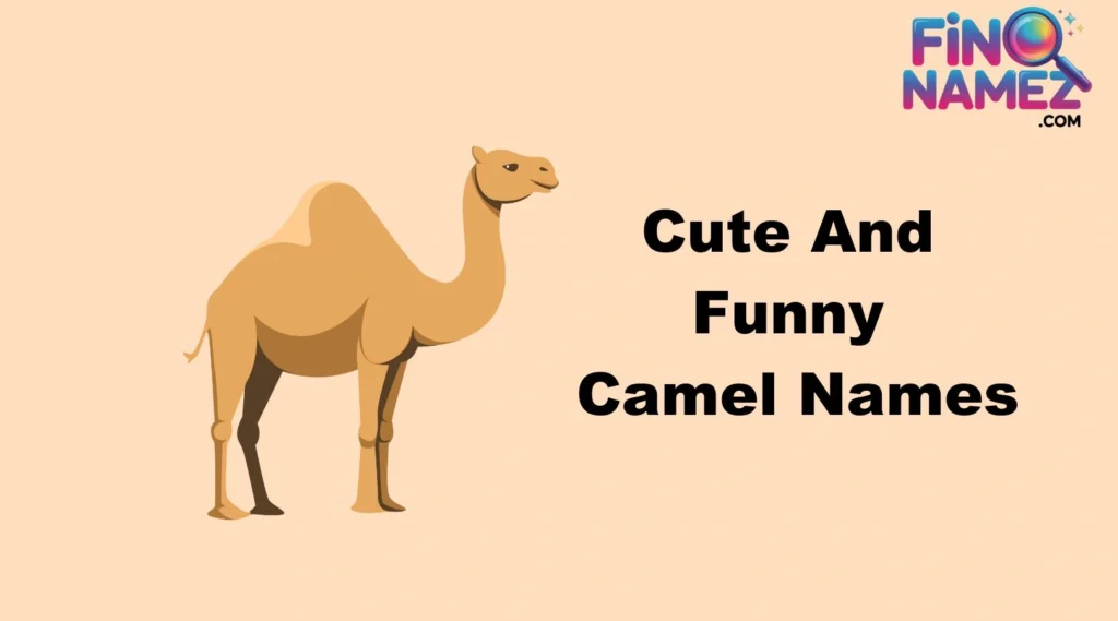 Cute And Funny Camel Names