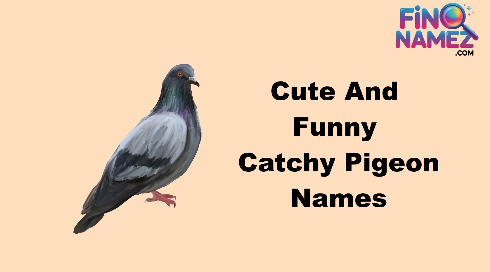 Cute And Funny Catchy Pigeon Names
