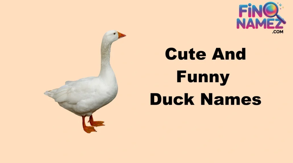 Cute And Funny Duck Names