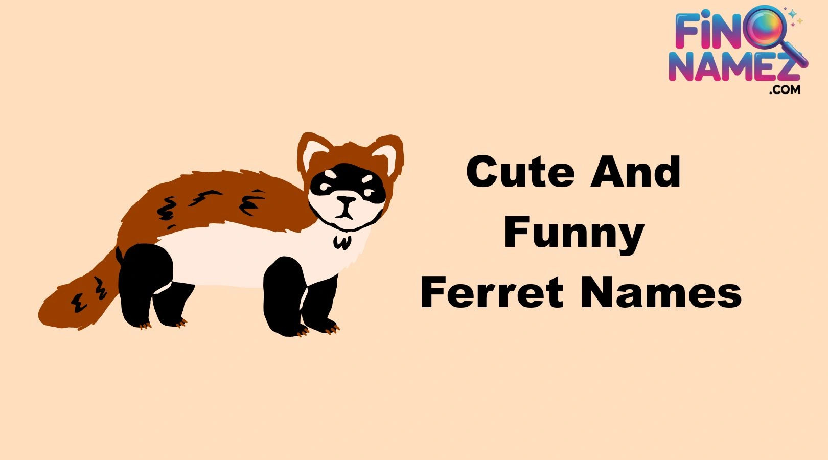 Cute And Funny Ferret Names