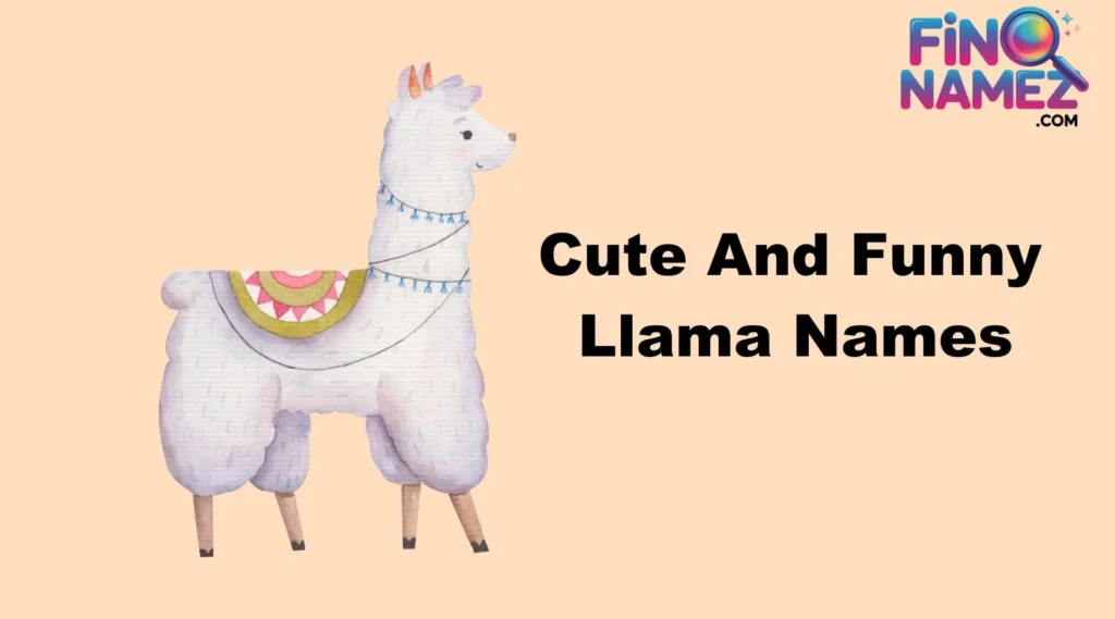 Cute And Catchy Llama Names