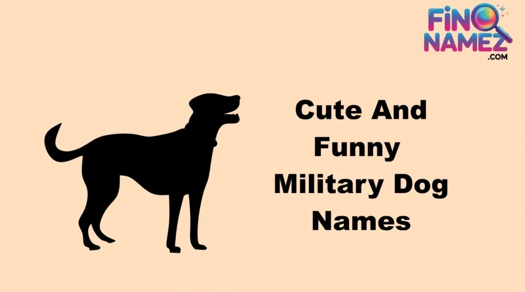 Cute And Funny Military Dog Names