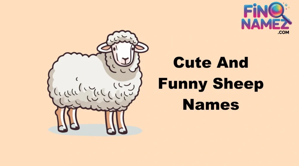 Cute And Funny Sheep Names