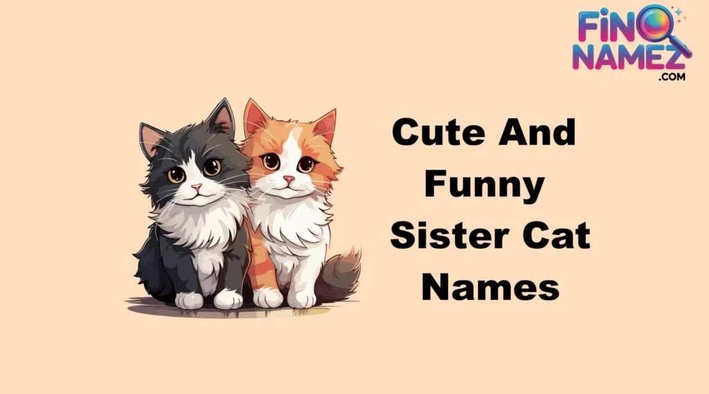Cute And Funny Sister Cat Names