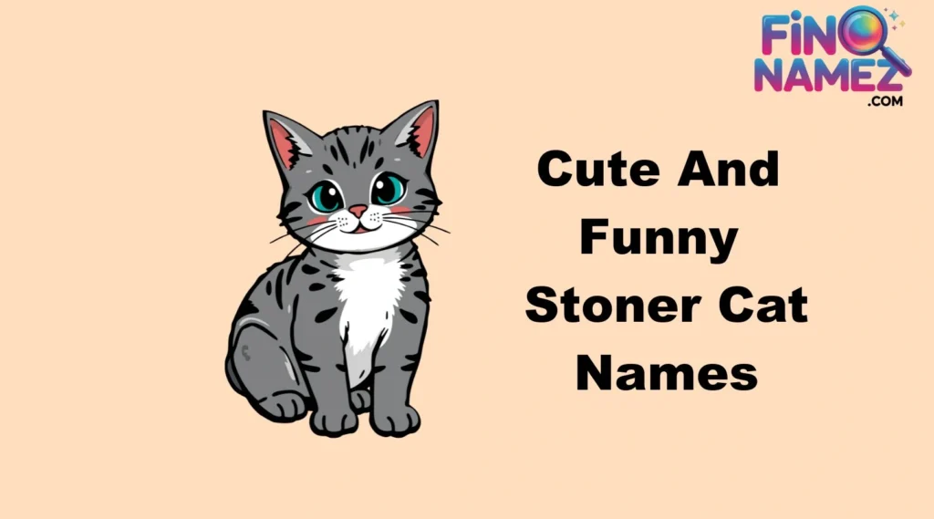 Cute And Funny Stoner Cat Names