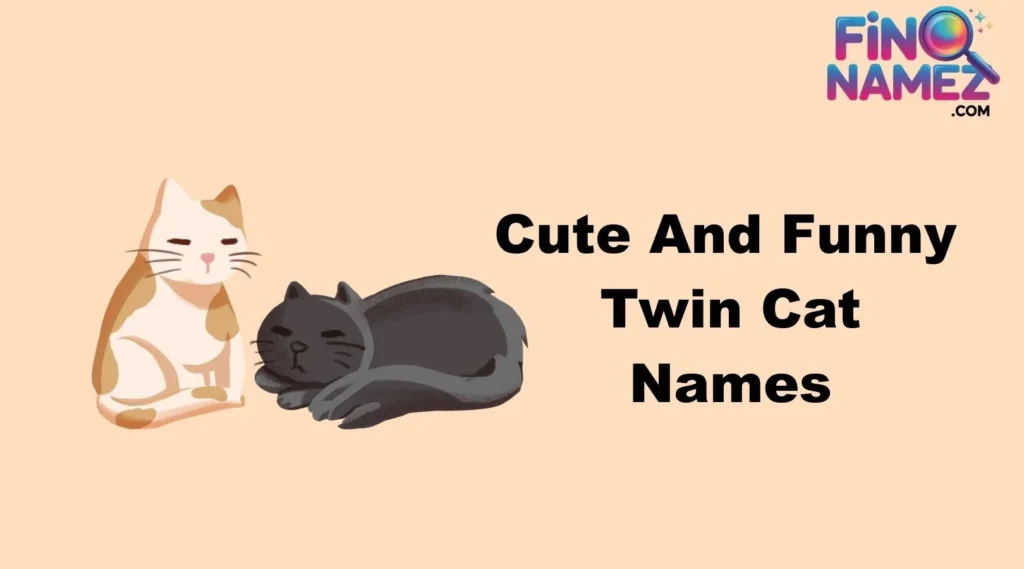 Cute And Catchy Twin Cat Names