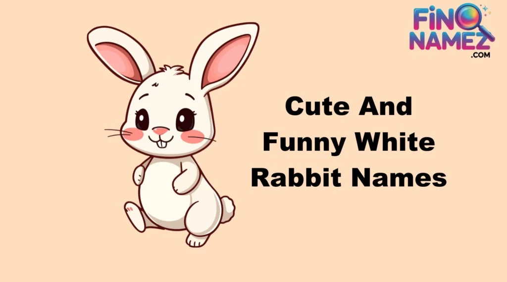 Cute And Funny White Rabbit Names