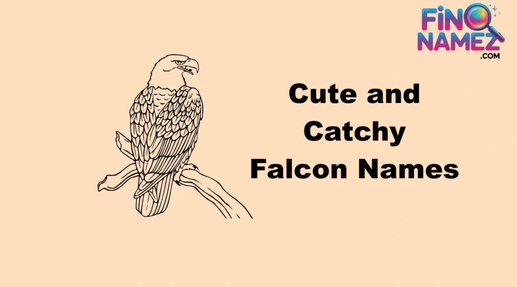 Cute and Catchy Falcon Names