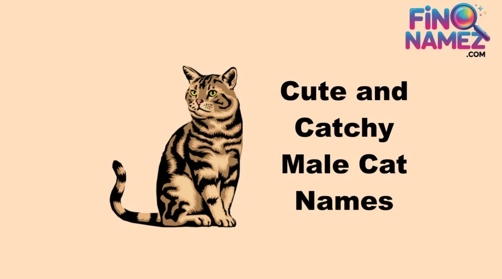 Cute and Catchy Male Cat Names