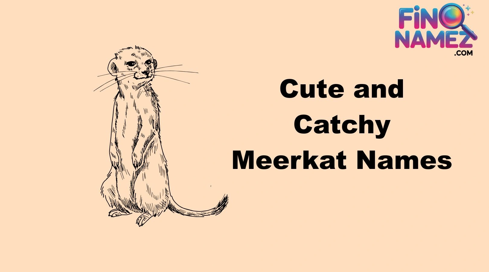Cute and Catchy Meerkat Names