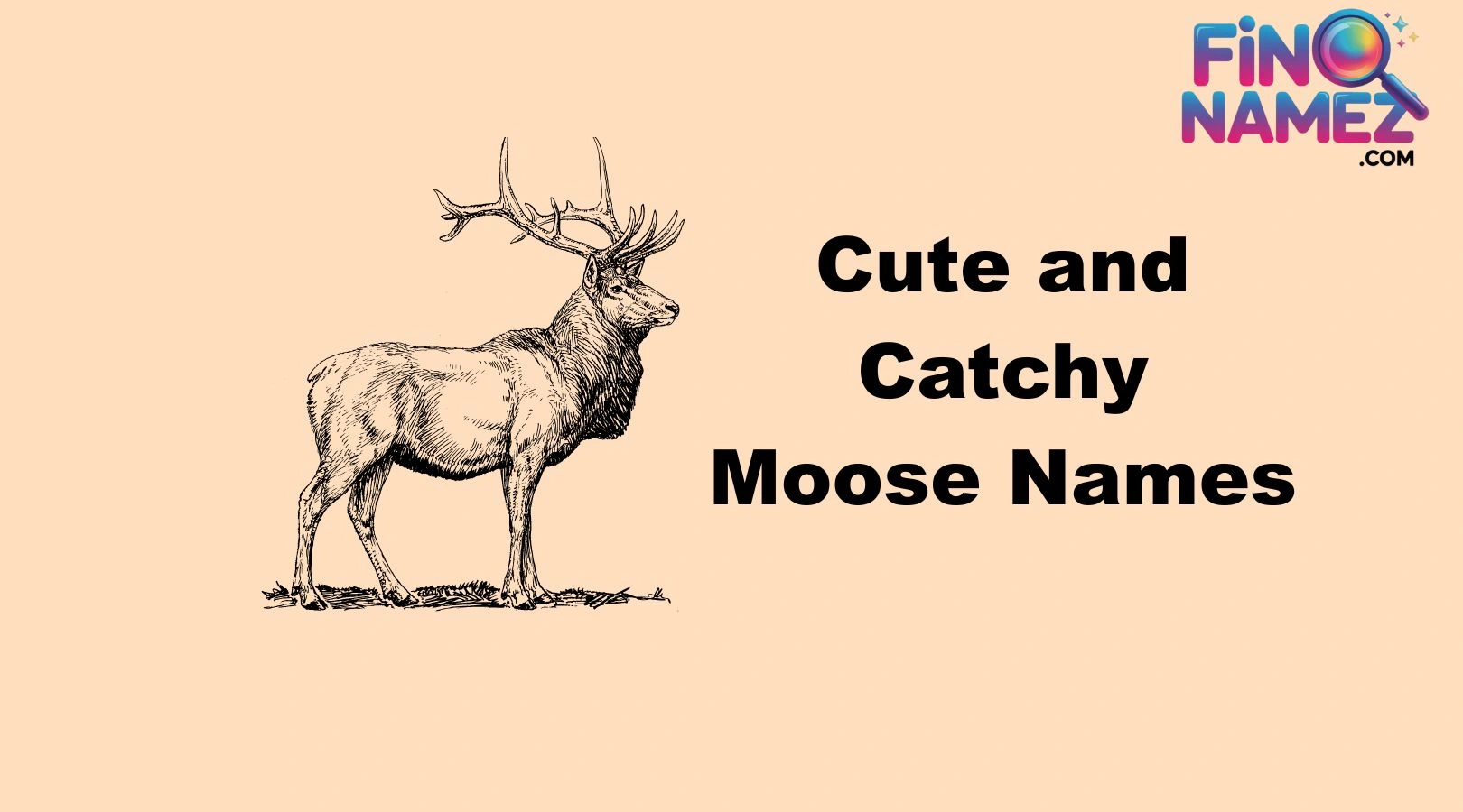Cute and Catchy Moose Names