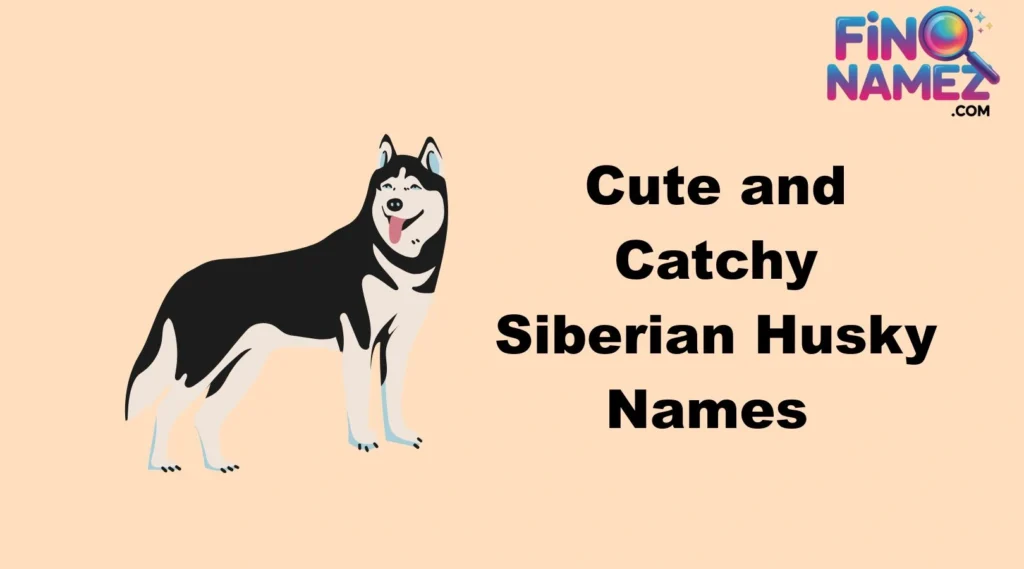 Cute and Catchy Siberian Husky Names