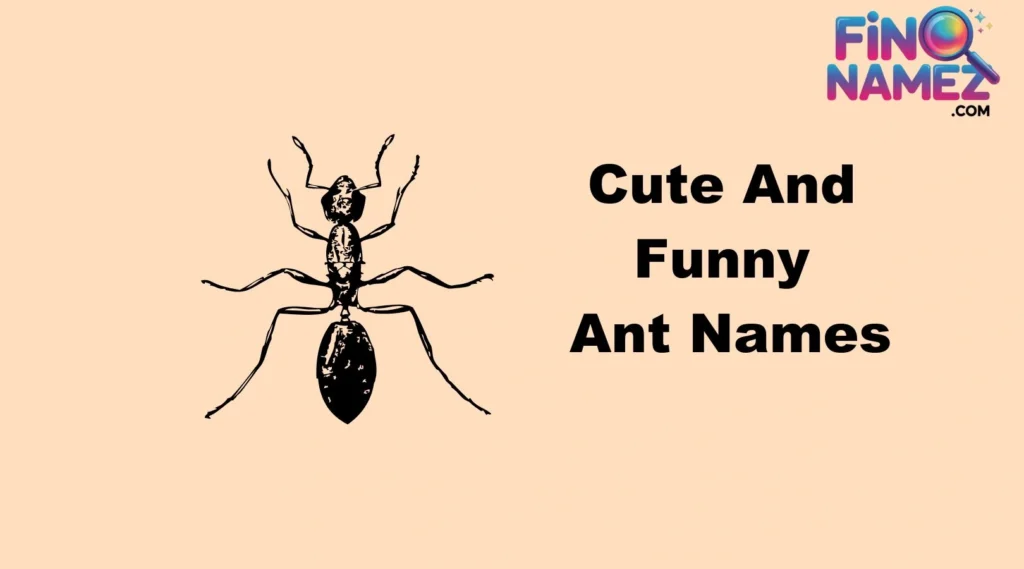 Cute And Funny Ant Names