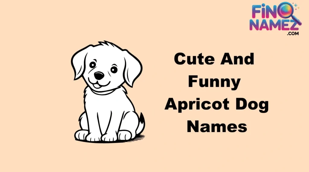 Cute And Funny Apricot Dog Names