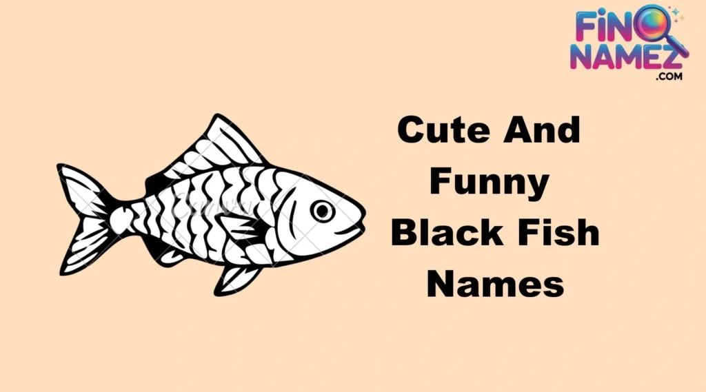 Cute And Funny Black Fish Names
