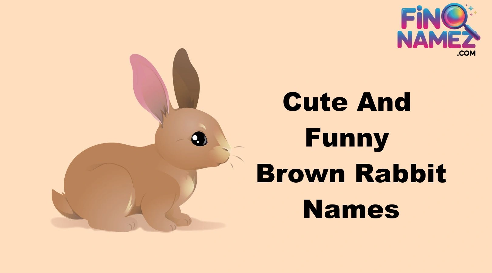 Cute And Funny Brown Rabbit Names
