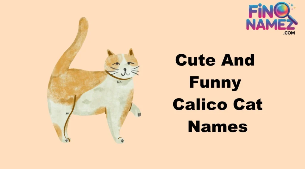 Cute And Funny Calico Cat Names