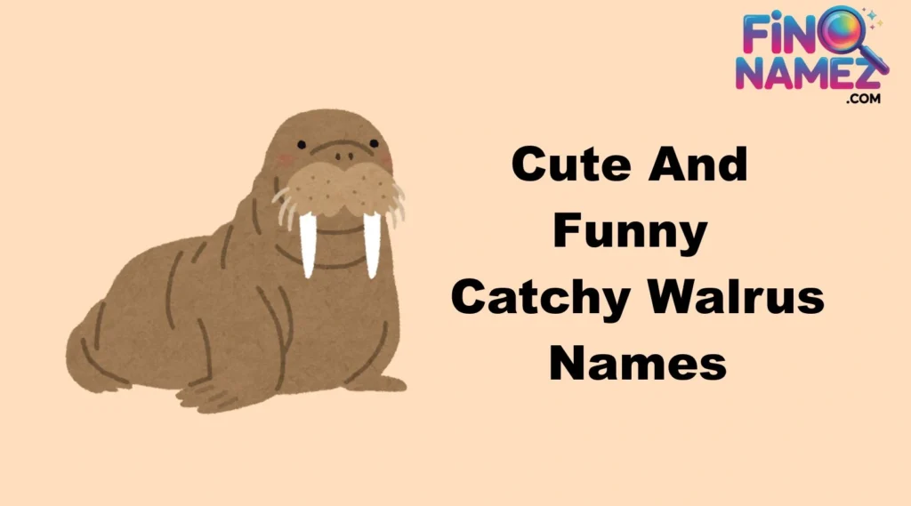 Cute And Funny Catchy Walrus Names