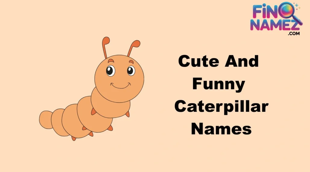 Cute And Funny Caterpillar Names