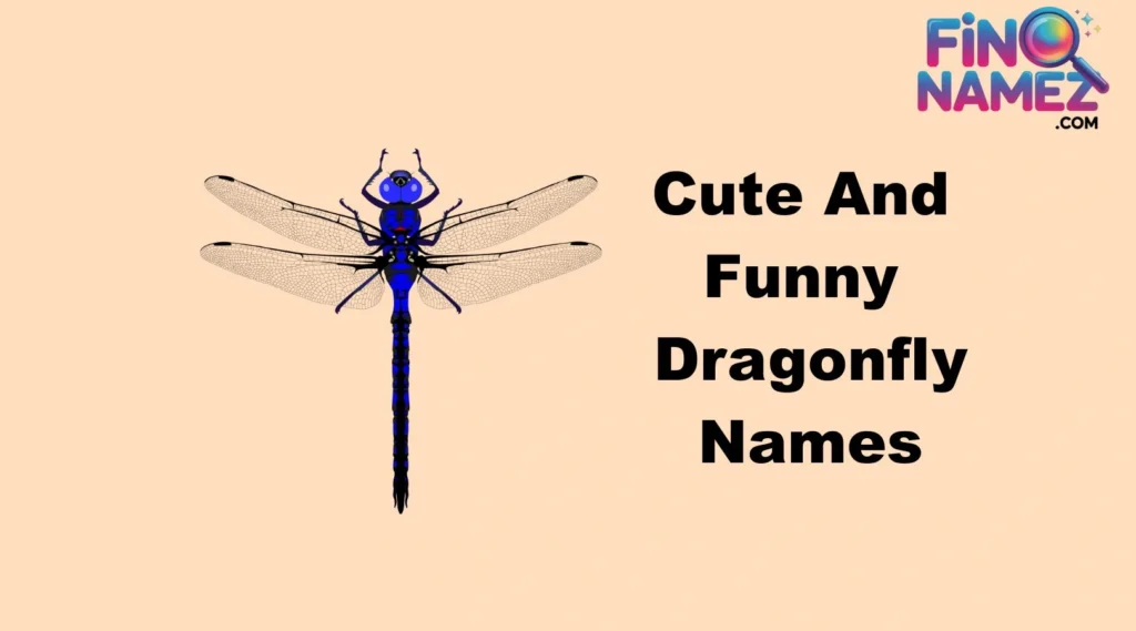 Cute And Funny Dragonfly Names
