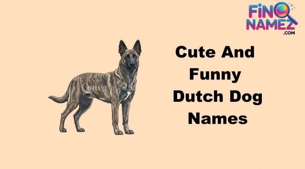 Cute And Funny Dutch Dog Names
