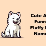 Cute And Funny Fluffy Dog Names