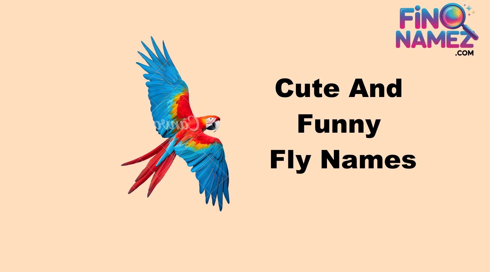 Cute And Funny Fly Names