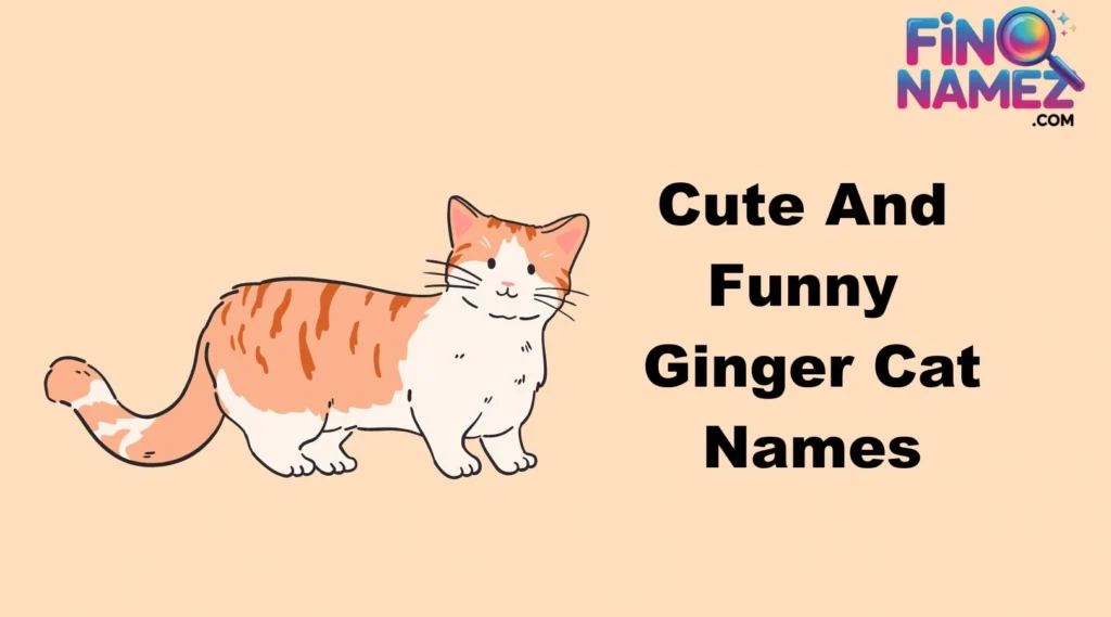 Cute And Funny Ginger Cat Names