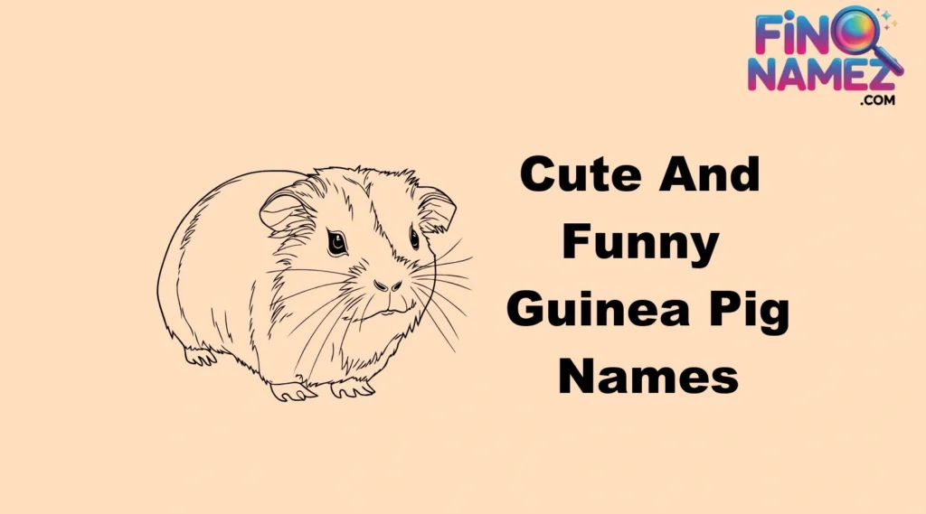 Cute And Funny Guinea Pig Names