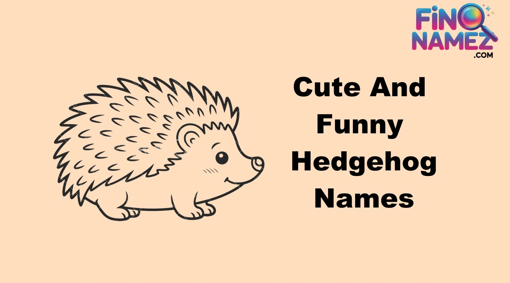 Cute And Funny Hedgehog Names