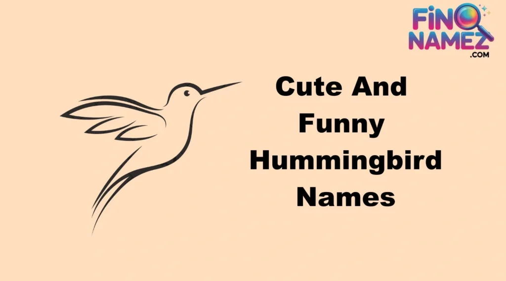 Cute And Funny Hummingbird Names