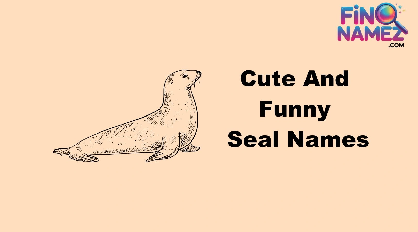 Cute And Funny Seal Names