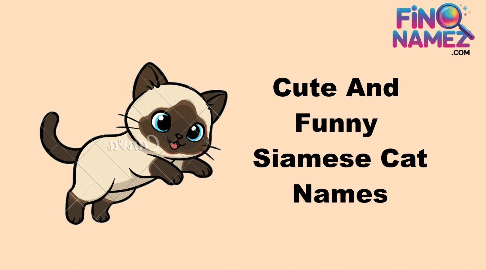 Cute And Funny Siamese Cat Names