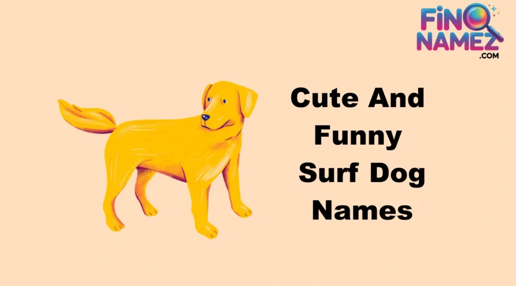 Cute And Funny Surf Dog Names