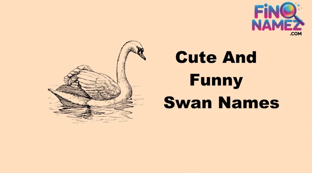 Cute And Funny Swan Names