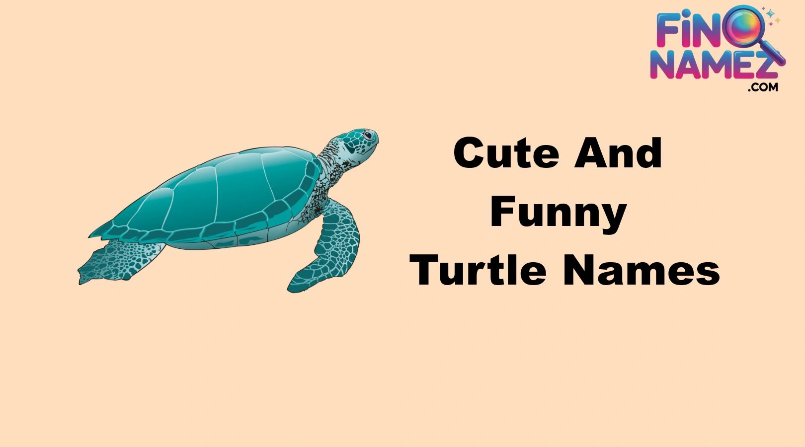 Cute And Funny Turtle Names