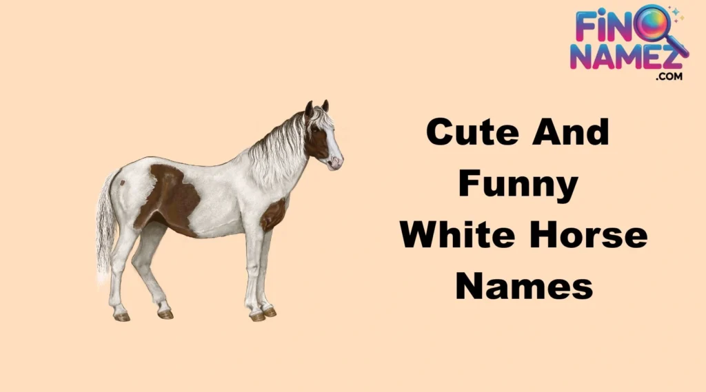 Cute And Funny White Horse Names