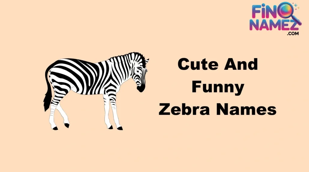 Cute And Funny Zebra Names